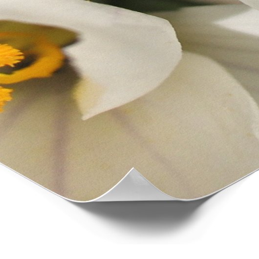 ビー忙しビー ポスター (角)