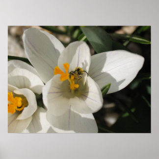 ビー忙しビー ポスター