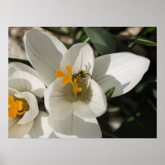 ビー忙しビー ポスター (正面)