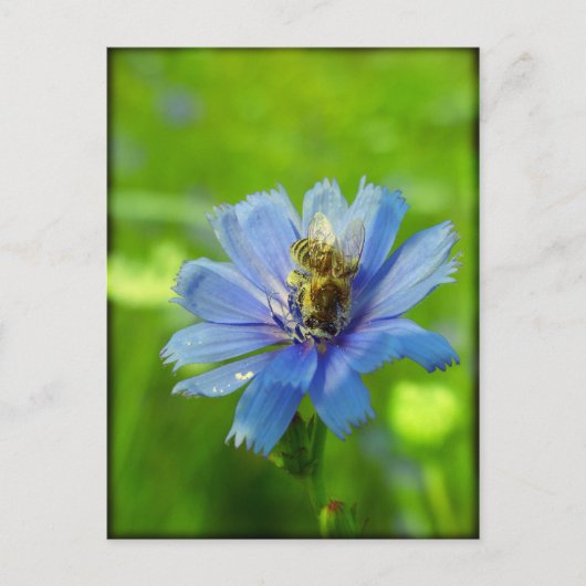 ビー忙しビー ポストカード (正面)