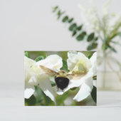 ビー忙しン ポストカード (スタンド正面)