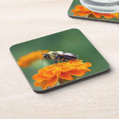 ビー忙しー コースター (左側)