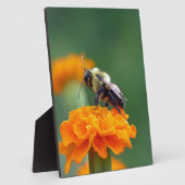 ビー忙しー フォトプラーク (側面)