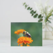 ビー忙しー ポストカード (スタンド正面)