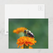 ビー忙しー ポストカード (正面/裏面)