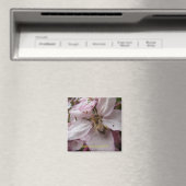 ビー忙しー マグネット (インサイチュ (食洗機))