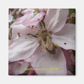 ビー忙しー マグネット