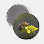 ビー忙しー マグネット (正面/裏面)