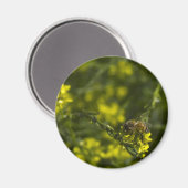 ビー忙し忙しー マグネット (正面/裏面)