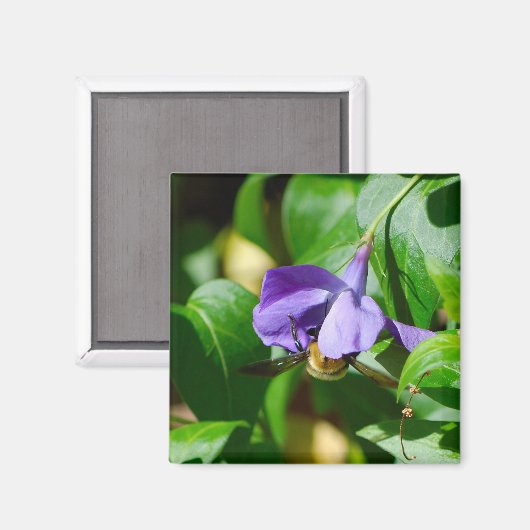 ビー忙し マグネット (正面/裏面)