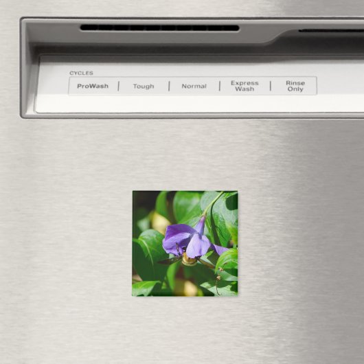 ビー忙し マグネット (インサイチュ (食洗機))