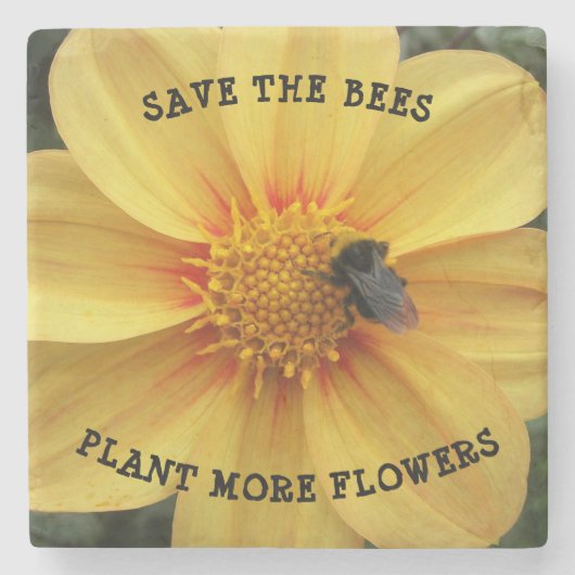 ビー救ズイエローダリアフローラ ストーンコースター