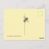 ビー救ズヴィンテージビー画像 ポストカード (裏面)