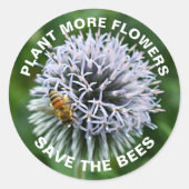 ビー救ズ・グローブ・チスル・フローラ ラウンドシール (正面)