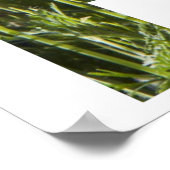 ビー救ツ、フローラ ポスター (角)