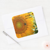 ビー救ツ – Sow Seeds Sticker スクエアシール (封筒)