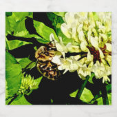 ビー水ラベル ビールラベル (シングルラベル)