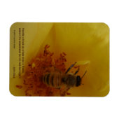 ビー磁石 マグネット (横)