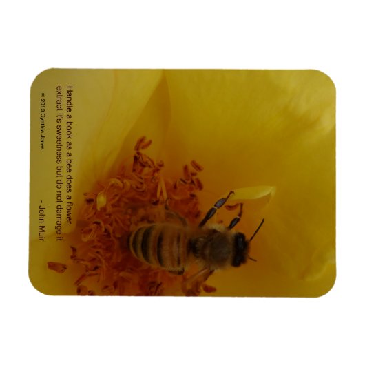 ビー磁石 マグネット (横)