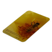 ビー磁石 マグネット (左側)