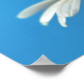 ビー親愛ー ポスター (角)