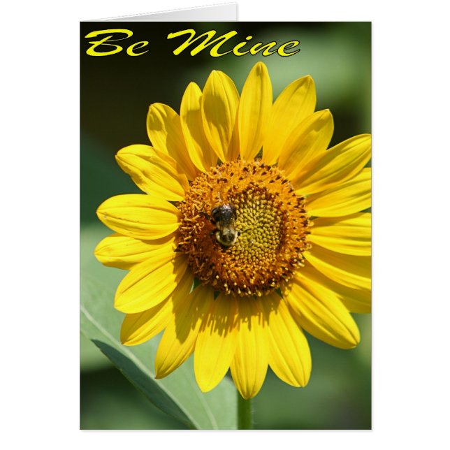 ビー鉱山カード (正面)