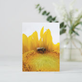 ビー・ひまわり葉書 ポストカード (スタンド正面)