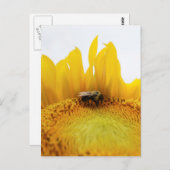 ビー・ひまわり葉書 ポストカード (正面/裏面)