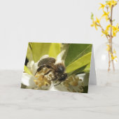 ビー・オン・オレンジ・ブロッサム カード (黄色い花)