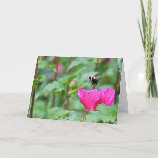 ビー カード (正面)