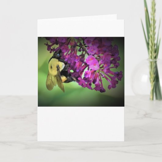 ビー、カード カード (正面)