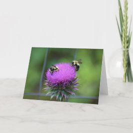 ビー、カード カード