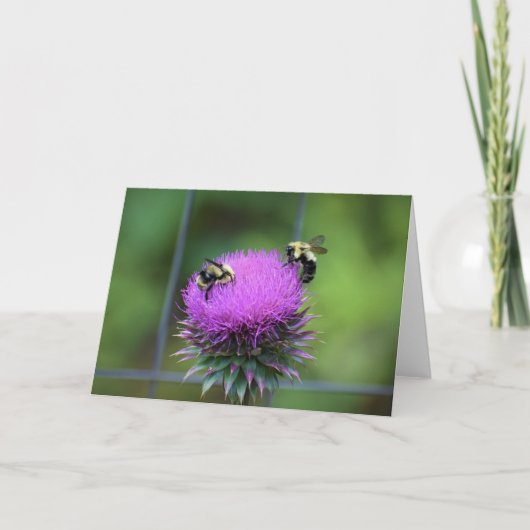 ビー、カード カード (正面)