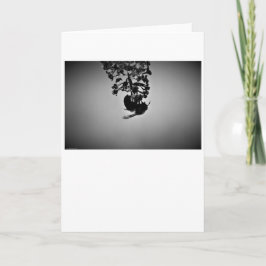 ビー、カード カード