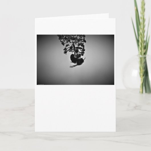 ビー、カード カード (正面)