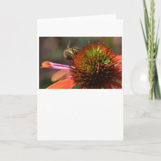 ビー、カード カード (正面)