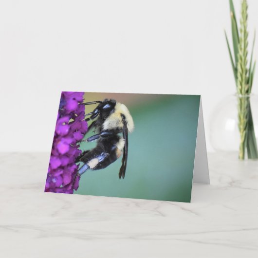 ビー、カード カード (正面)