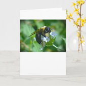ビー、カード カード (黄色い花)