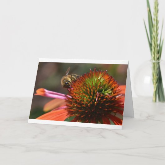 ビー、カード カード (正面)