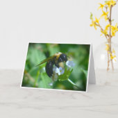 ビー、カード カード (黄色い花)