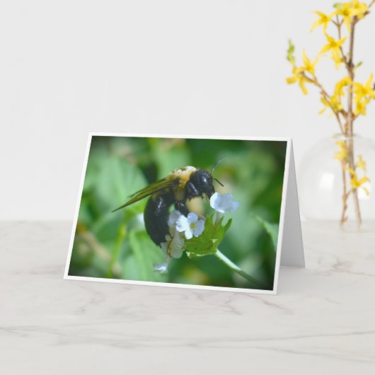 ビー、カード カード (黄色い花)