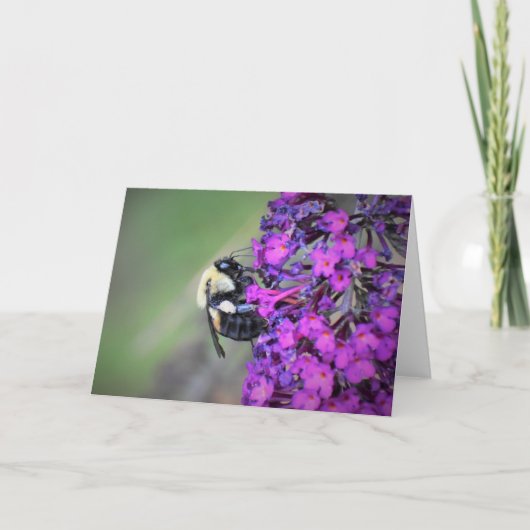 ビー、カード カード (正面)