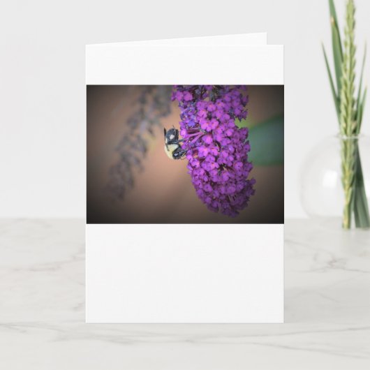 ビー、カード カード (正面)