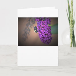 ビー、カード カード