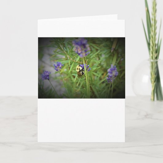 ビー、カード カード (正面)