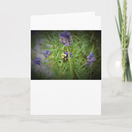 ビー、カード カード