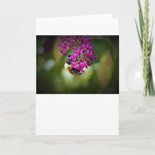 ビー、カード カード (正面)