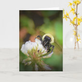 ビー、カード カード (黄色い花)