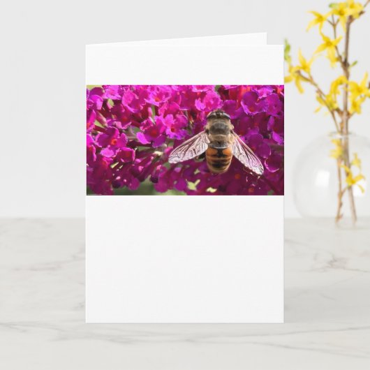 ビー、カード カード (黄色い花)