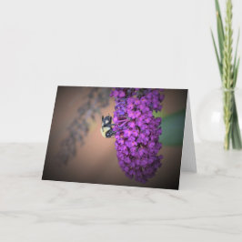 ビー、カード カード